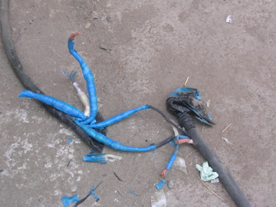 A Sad Day for Mongolia