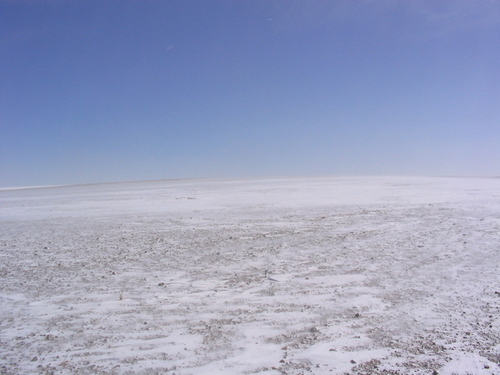 The Gobi